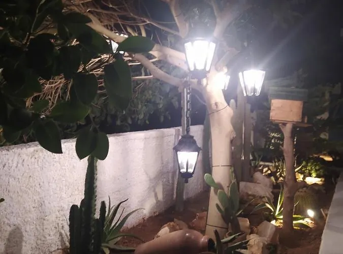 George's Point Of View * 나오우사